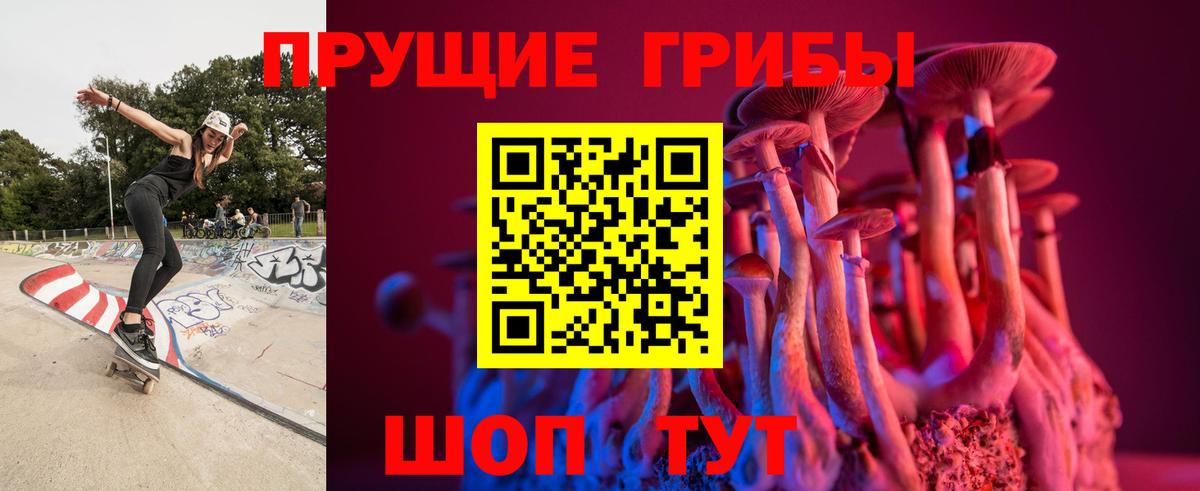 Псилоцибиновые грибы мухоморы Гулькевичи