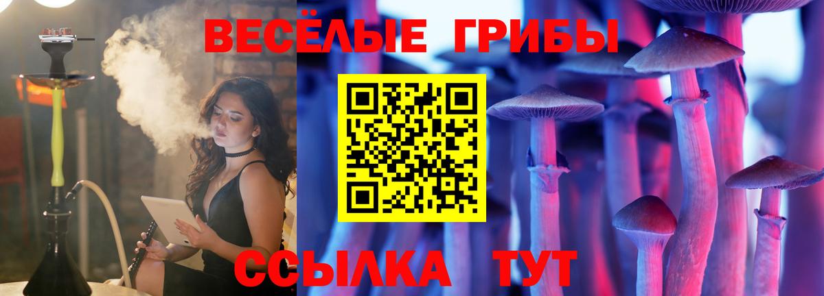 Мефедрон   ГАШ  Гулькевичи  Вход с VPN  Каннабис  Амфетамин  