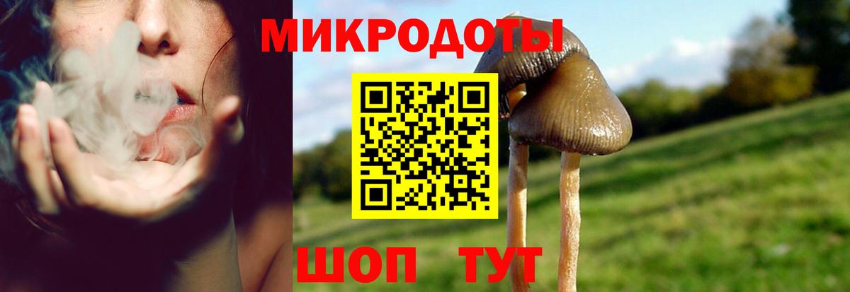Галлюциногенные грибы Psilocybine cubensis  закладки  Гулькевичи  Галлюциногенные грибы мухоморы  Вход с VPN 